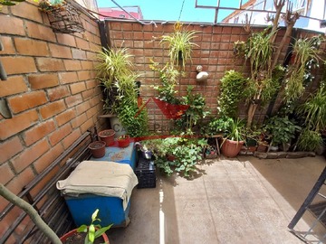 Imagen 19