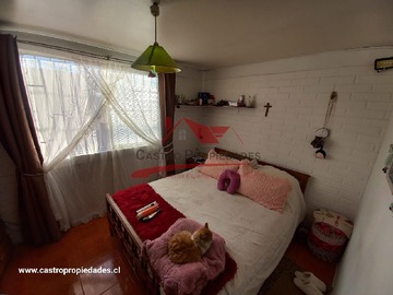 Imagen 12