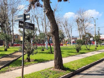 Imagen 18