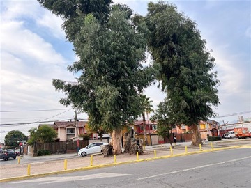 Imagen 19