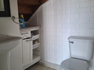 Imagen 15