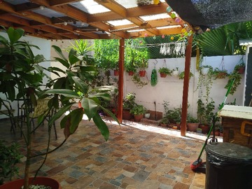 Imagen 16