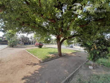 Imagen 25
