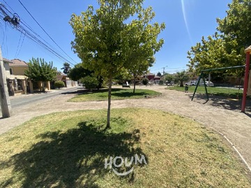 Imagen 20
