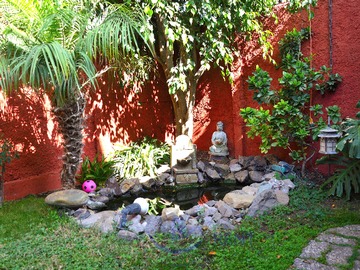 Imagen 18