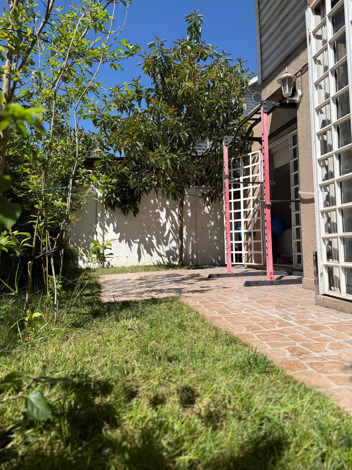 Patio trasero