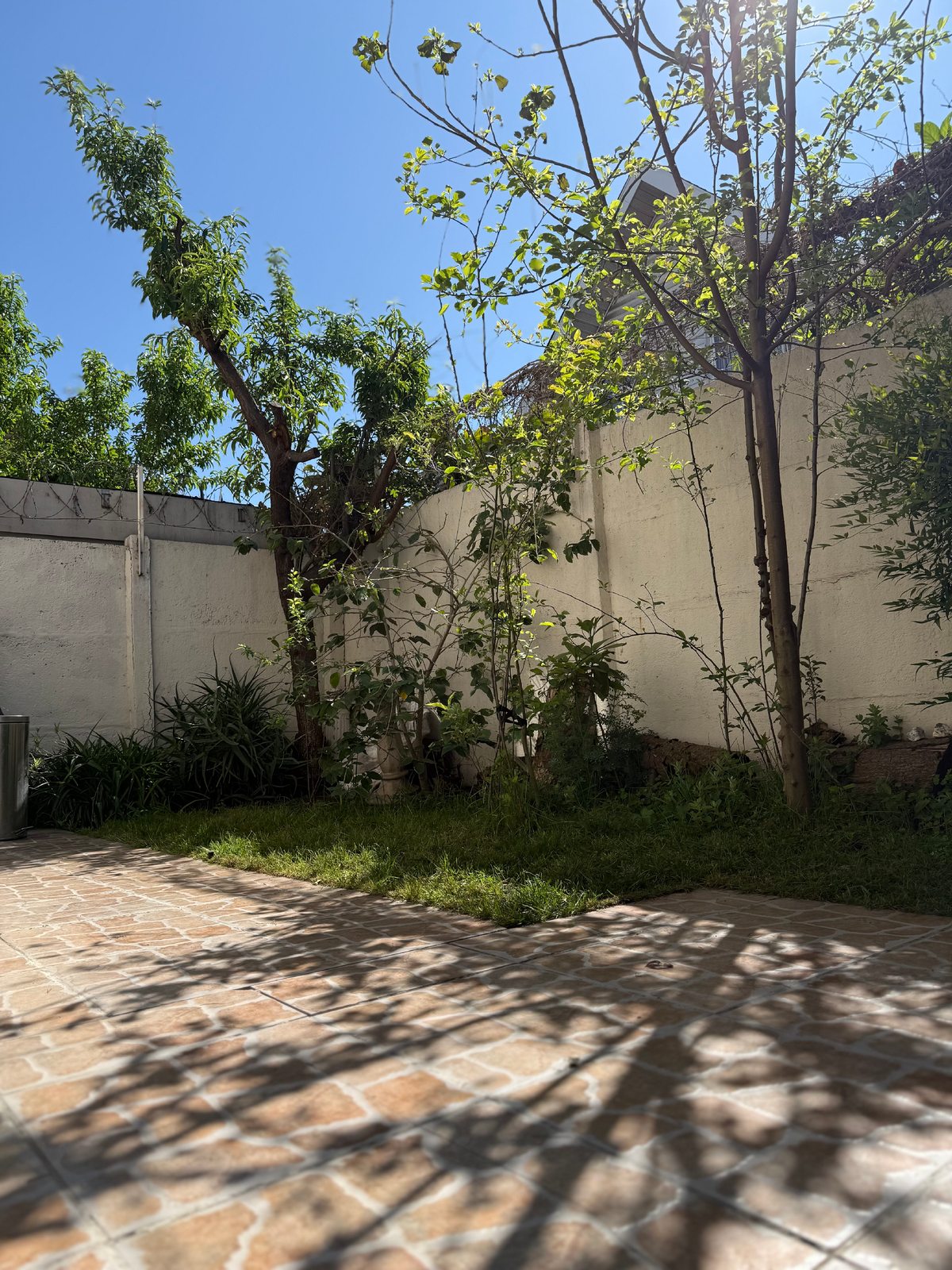Patio Trasero
