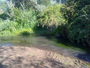 Imagen 18