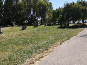 Imagen 19