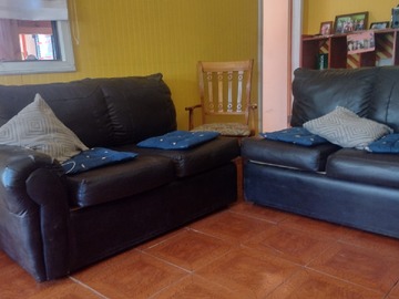 Imagen 5
