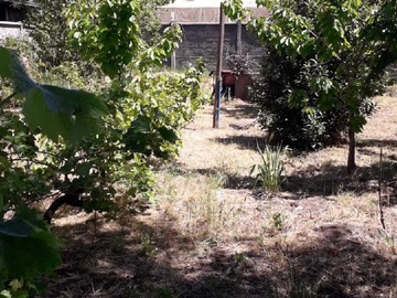 Venta / Casa / Quillón