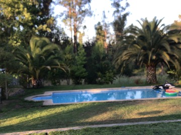 Imagen 6