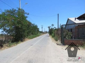 Imagen 12