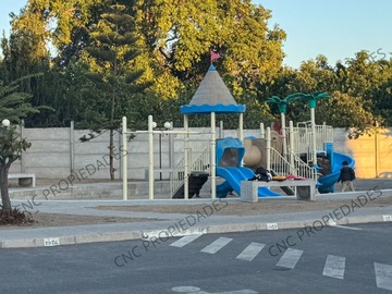 Imagen 21