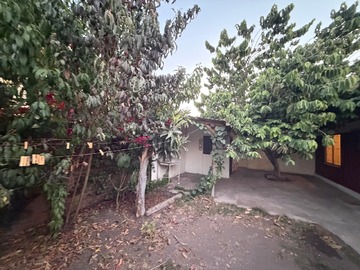 Imagen 9