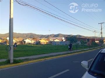 Imagen 8