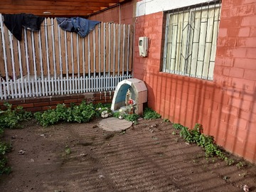 Imagen 13