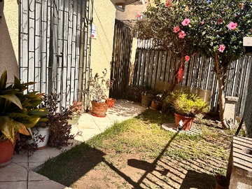 Imagen 14