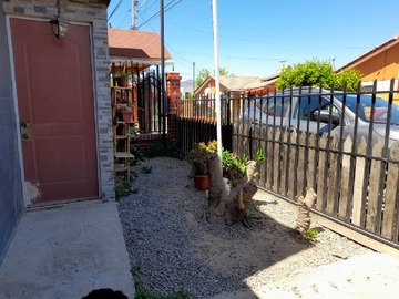Imagen 11