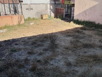 Imagen 10
