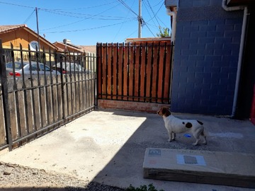 Imagen 12