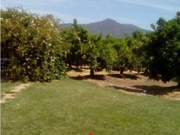 Imagen 6