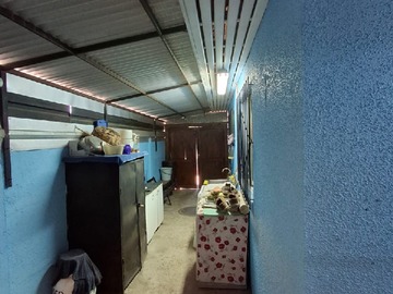 Imagen 5