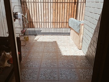 Imagen 12