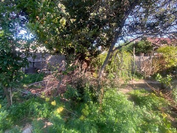 Imagen 7