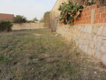 Imagen 21