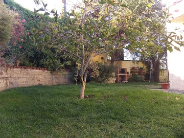 Imagen 6