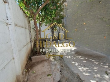 Imagen 9