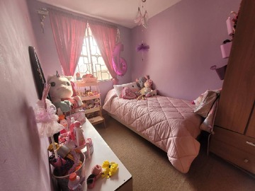 Imagen 15