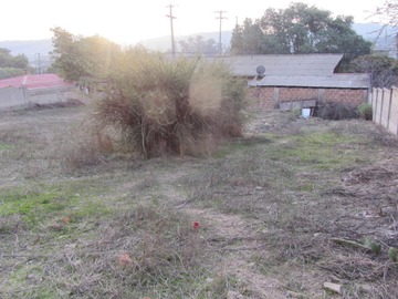 Imagen 23