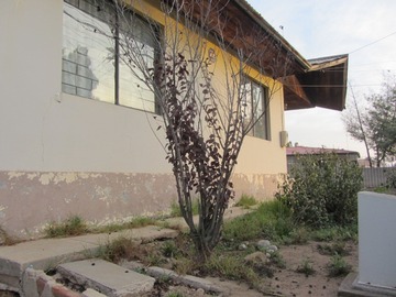 Imagen 15