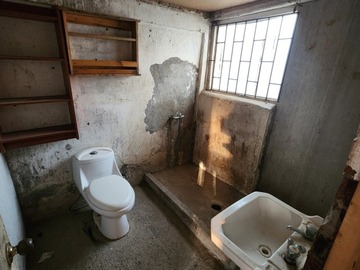Imagen 5