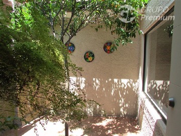 Imagen 7