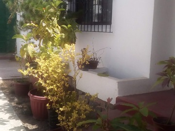 Imagen 15
