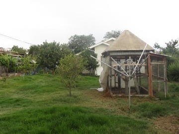 Imagen 6