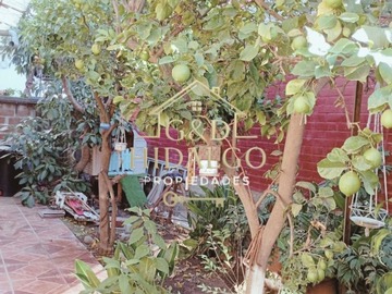 Imagen 8
