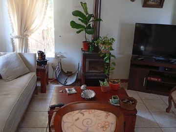 Imagen 15