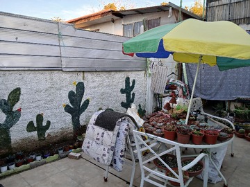 Imagen 7