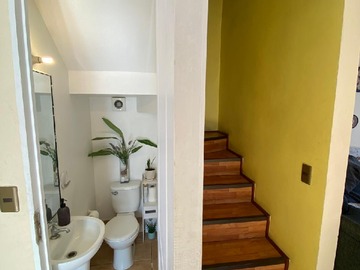 Imagen 14
