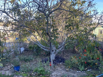 Venta / Casa / Quilpué