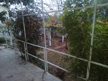 Imagen 10