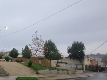 Imagen 21