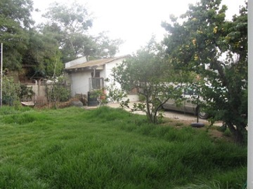 Imagen 5