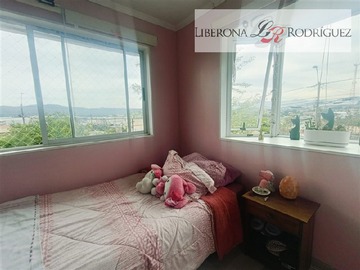Imagen 13