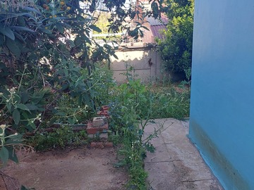 Imagen 5
