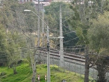 Imagen 25